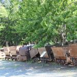 IMG_7551 (May 28, 2024)